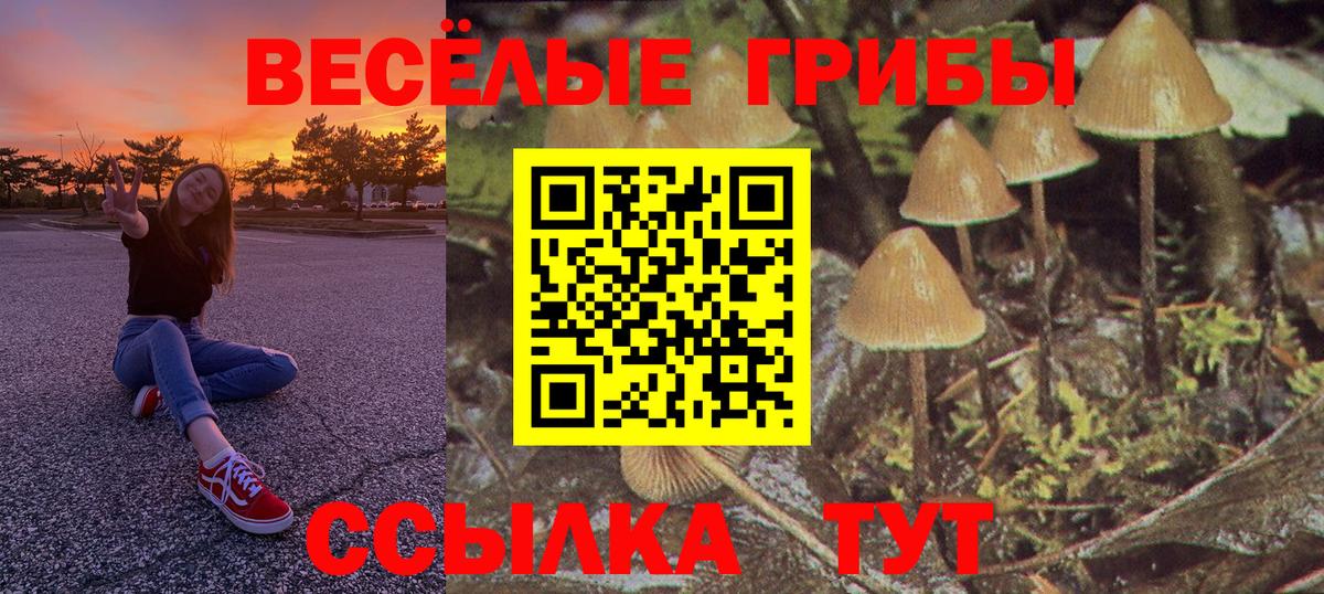где продают наркотики  Вход с VPN  Петропавловск-Камчатский  Псилоцибиновые грибы мухоморы  Псилоцибиновые грибы Psilocybine cubensis 